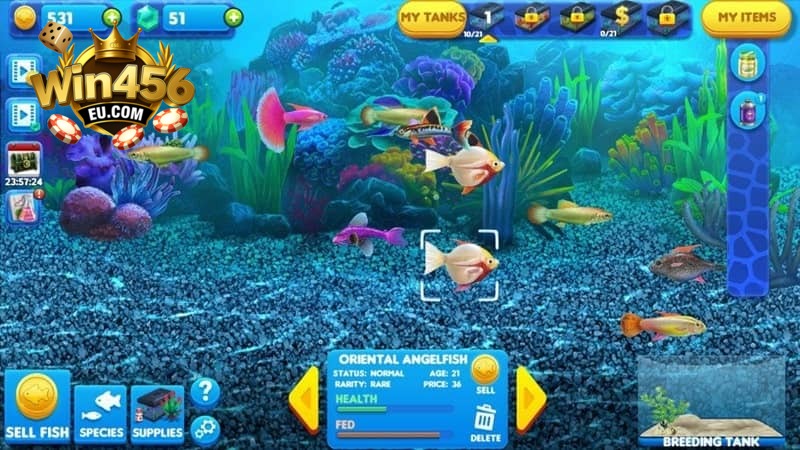 Giao diện bắn cá rút tiền thật Win456